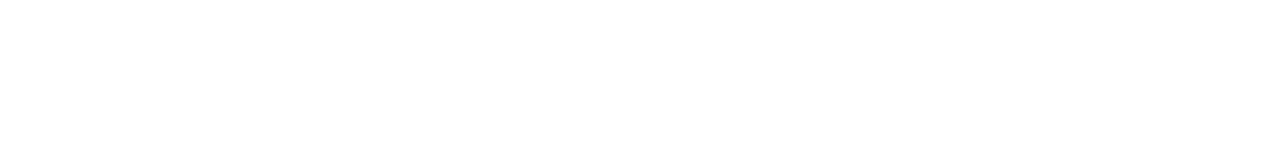 brandaurasystem.com